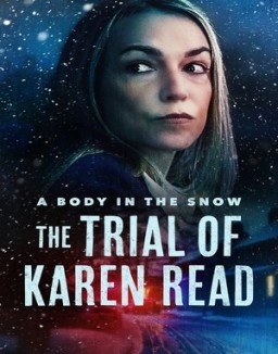 A Body in the Snow - The Trial of Karen Read ver series