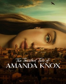 Amanda Knox: Una historia retorcida ver series