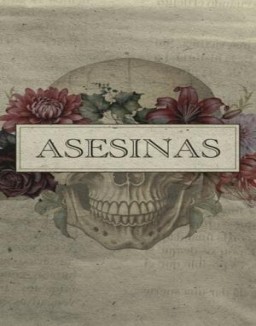 Asesinas ver series