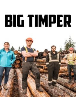 Big Timber ver series
