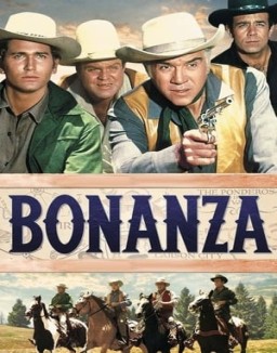 Bonanza ver series