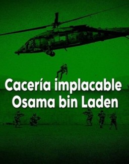 Cacería implacable: Osama bin Laden ver series