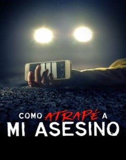 Cómo atrapé a mi asesino ver series