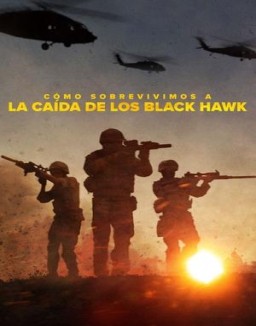 Cómo sobrevivimos a la caída de los Black Hawk ver series