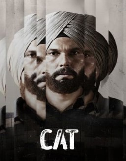 CAT ver series