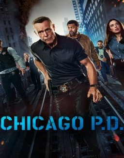 Chicago P.D. ver series