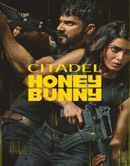 Citadel: Honey Bunny ver series
