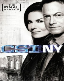 CSI: Nueva York ver series