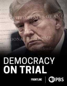 Democracia en riesgo ver series