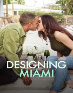 Diseñando Miami ver series