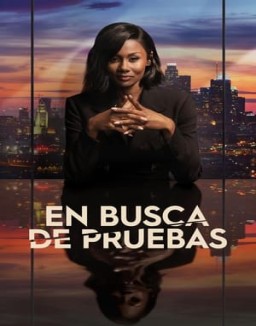 Duda razonable ver series