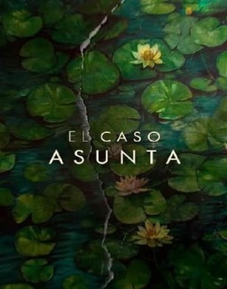 El caso Asunta ver series