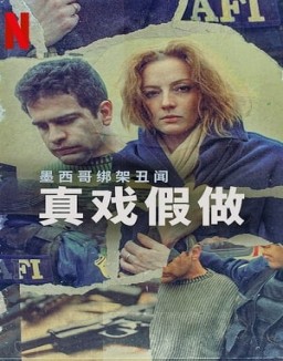El caso Cassez-Vallarta: una novela criminal ver series