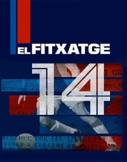 El fichaje ver series
