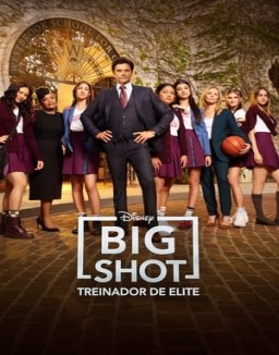 El Míster ver series