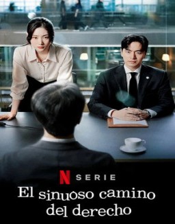 El sinuoso camino del derecho