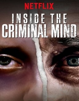 En la mente criminal ver series