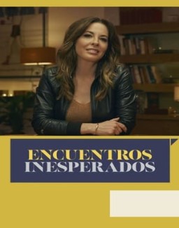 Encuentros inesperados ver series