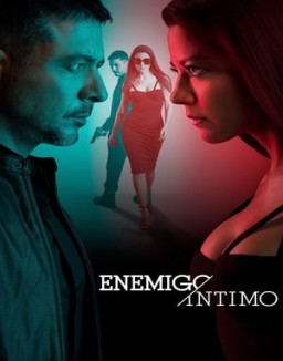 Enemigo íntimo ver series