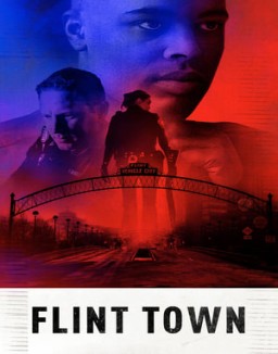 Flint Town ver series