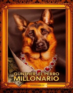Gunther, el perro millonario ver series