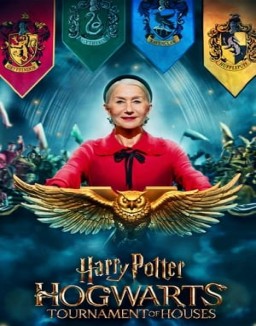Harry Potter: El Torneo de las Casas de Hogwarts ver series