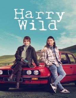 Harry Wild ver series