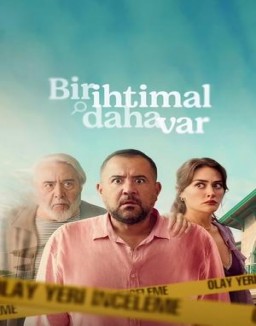 La apuesta de mi vida ver series