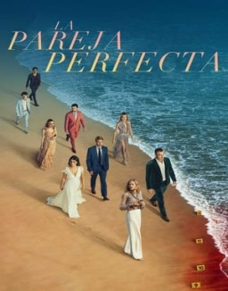 La pareja perfecta ver series