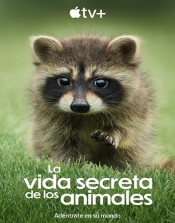 La vida secreta de los animales ver series