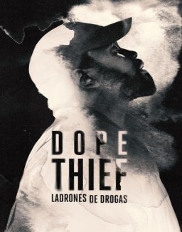 Ladrones de drogas ver series