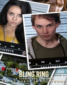 Los Bling Ring desvalijan Hollywood ver series