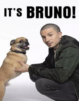 Los paseos de Bruno ver series