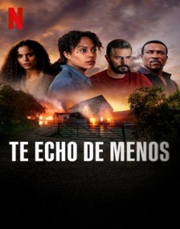 Me haces falta ver series