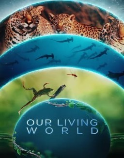 Nuestro mundo lleno de vida ver series