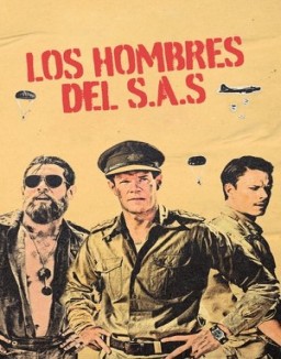 SAS Rogue Heroes ver series