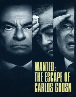 Se busca: Carlos Ghosn ver series