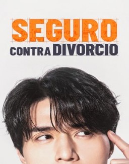 Seguro de divorcio ver series