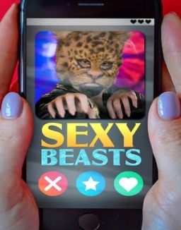 Sexy a lo bestia ver series