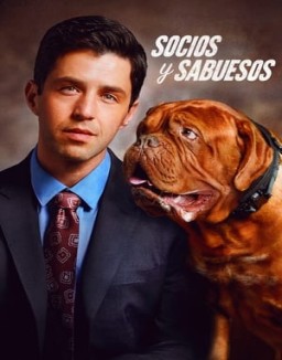 Socios y sabuesos ver series
