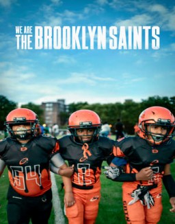 Somos los Brooklyn Saints ver series