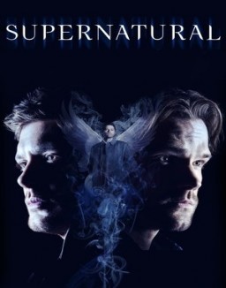 Supernatural temporada  14 online