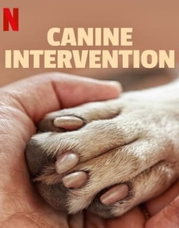 Terapia Canina ver series