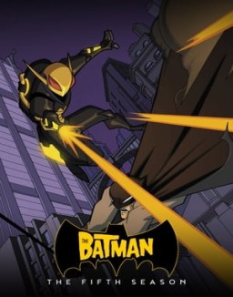 The Batman ver series