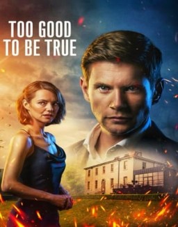 Too Good to Be True ver series