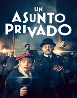Un asunto privado ver series