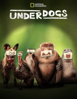 Underdogs ver series gratis