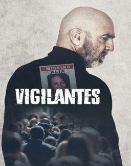 Vigilantes ver series